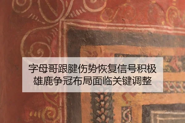 zi-mu-ge-gen-jian-shang-shi-hui-fu-xin-hao-ji-ji-xiong-lu-zheng-guan-bu-ju-mian-lin-guan-jian-tiao-zheng-2-562.jpg