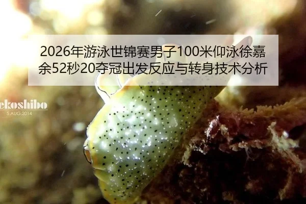 nian-you-yong-shi-jin-sai-nan-zi-mi-yang-yong-xu-jia-yu-miao-duo-guan-chu-fa-fan-ying-yu-zhuan-shen-ji-shu-fen-xi-2-381.jpg